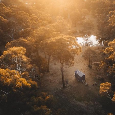 فيلا Newhamفي Ardingly Tiny House المظهر الخارجي الصورة