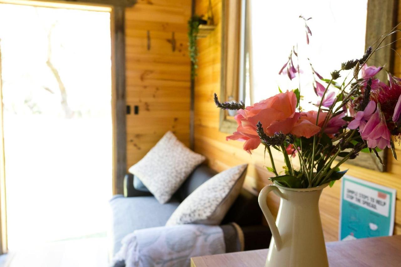 فيلا Newhamفي Ardingly Tiny House المظهر الخارجي الصورة