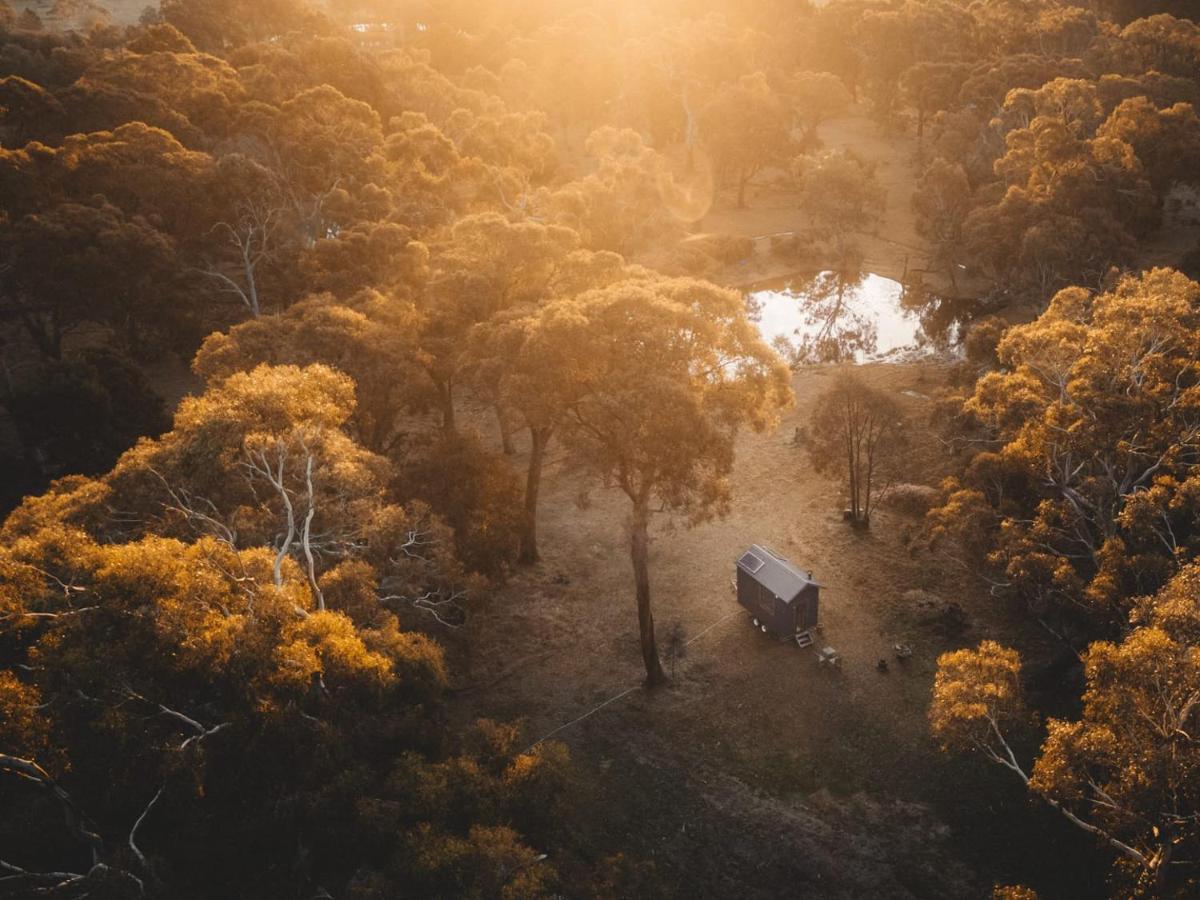 فيلا Newhamفي Ardingly Tiny House المظهر الخارجي الصورة